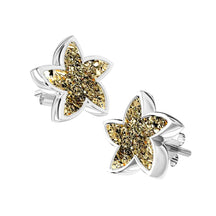 Ashes Infused JewelleryAura-Star Earrings Stars