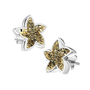 Ashes Infused JewelleryAura-Star Earrings Stars