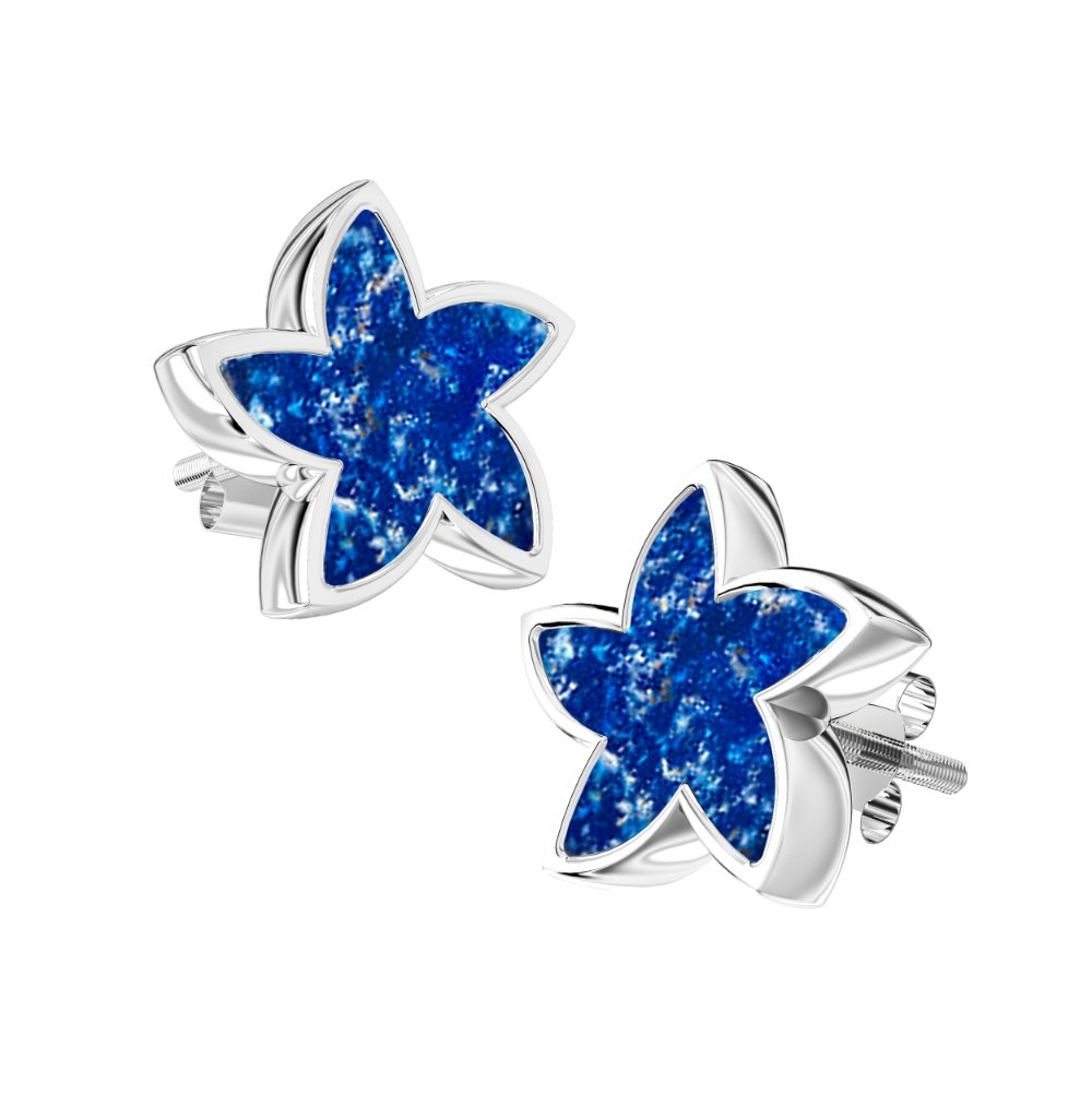 Ashes Infused JewelleryAura-Star Earrings Stars