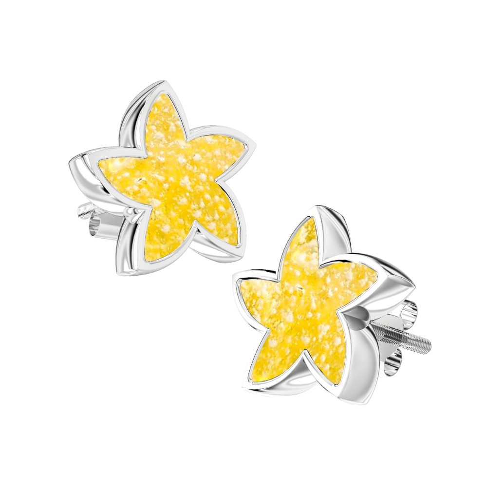 Ashes Infused JewelleryAura-Star Earrings Stars