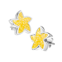 Ashes Infused JewelleryAura-Star Earrings Stars